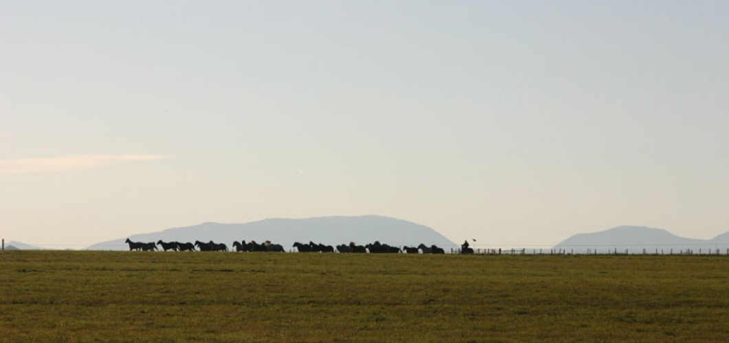 Montana (124)